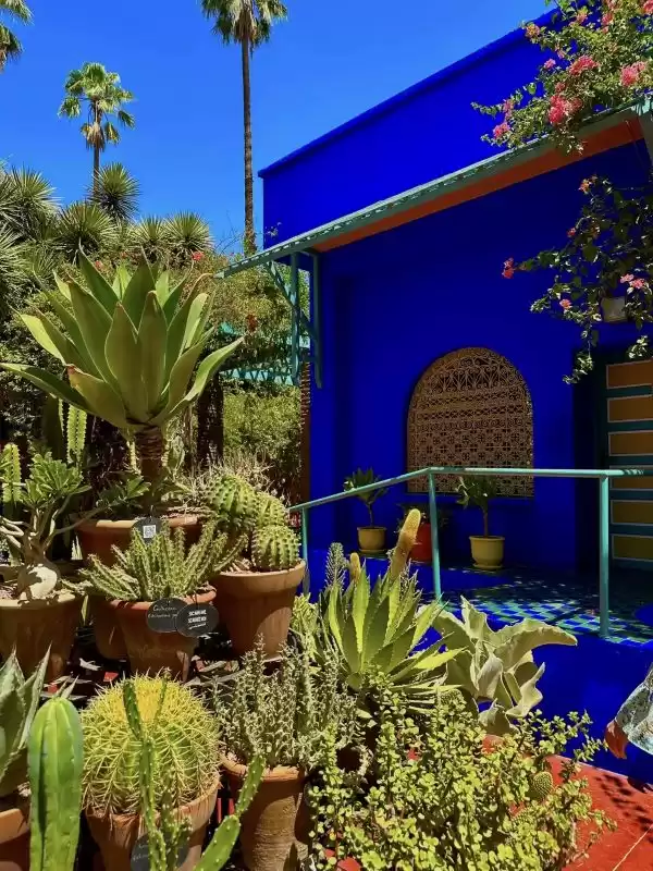 Visitar Marrakech en Otoño: Desvelar la magia