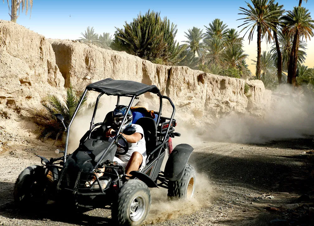 Quad & Buggy in the palm grove- 2 Hours 