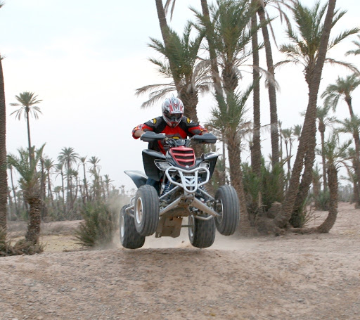 Quads & Buggys in the palm grove